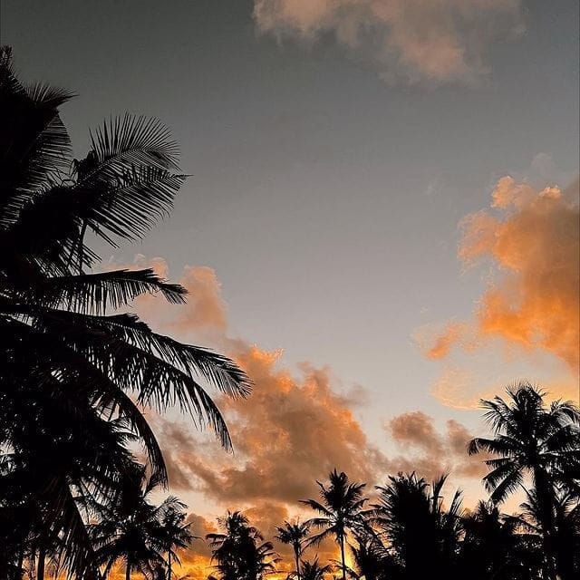 Site Harding Boutique Hotels, Sri Lanka &ndash; 279102098 4513900138709722 3042268961284835127 n uai